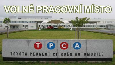 TPCA shání projektového specialistu